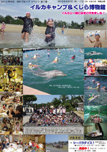 お知らせ [【2013第7弾】イルカキャンプに行ってきました！]